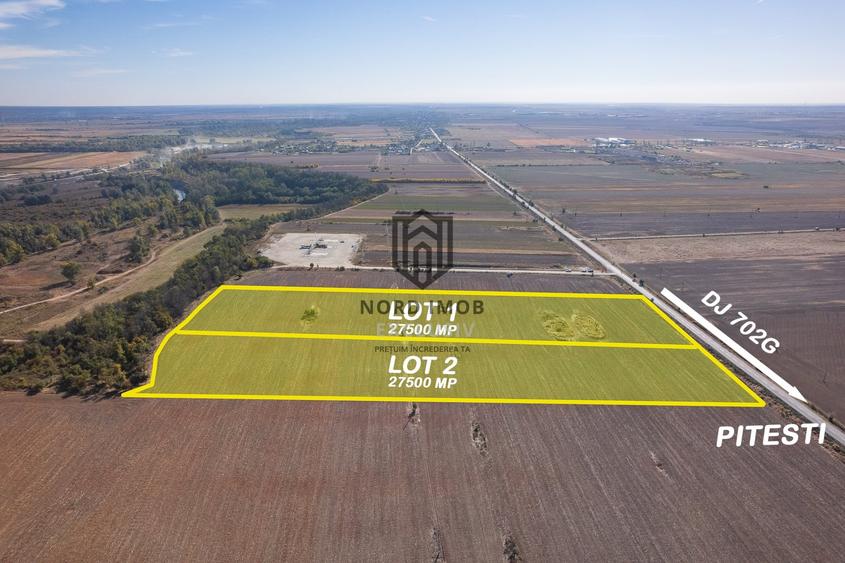 Teren agricol extravilan de 55000 mp, în Căteasca