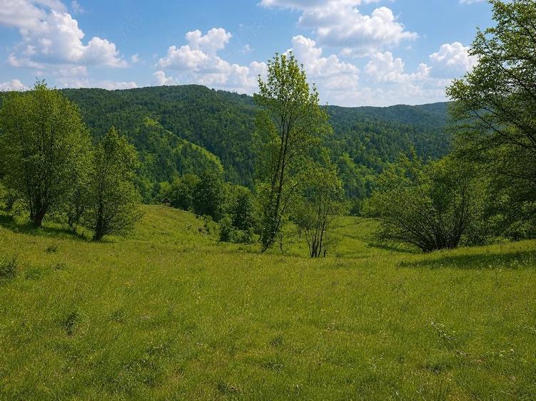 Teren de 2746 mp, în Alexandru cel Bun
