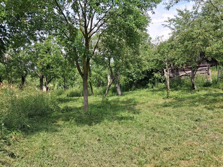 Casă cu 3 camere în Delenii
