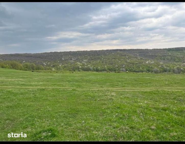 Teren de 4000 mp, în Grajduri