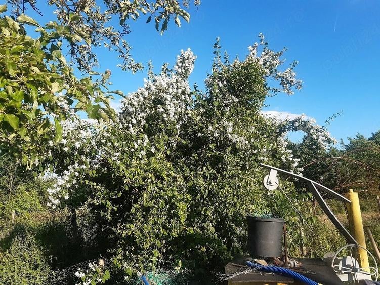Casă cu 2 camere cu Teren 5 Mp în Zegujani