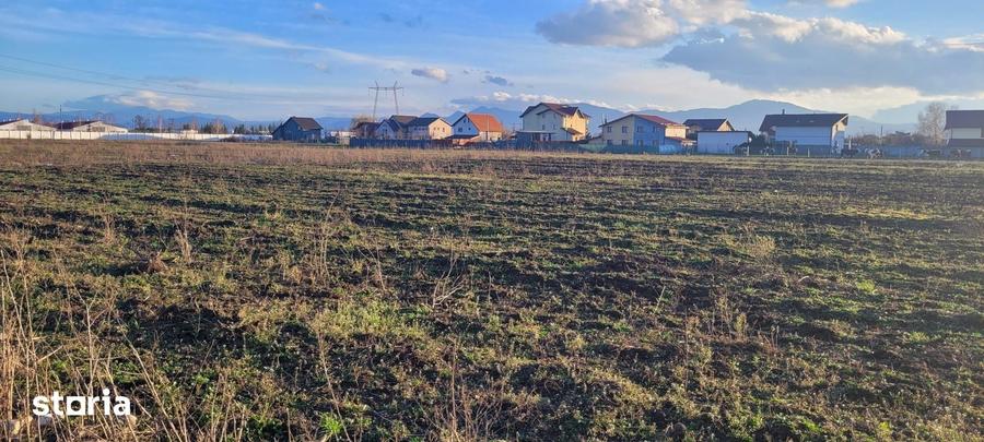 Teren de 605 mp, în Central