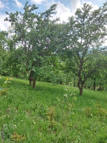Teren de 3150 mp, în Poiana