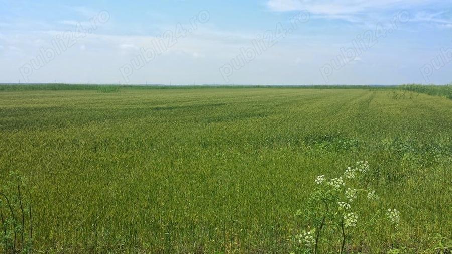 Teren de 12444 mp, în Hârșova
