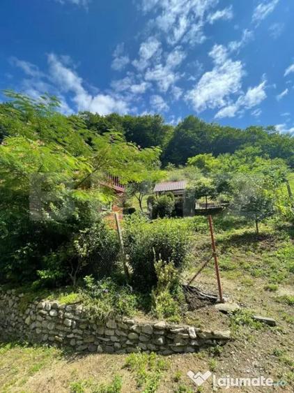 Casa de vacanta cu 4 camere, 1470 mp teren, Sugag - 1