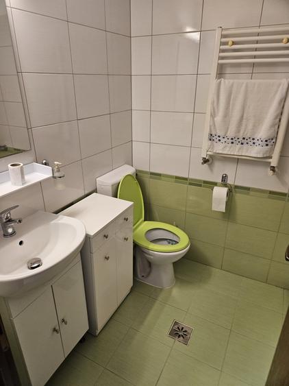 Apartament cu 2 camere decomandat, mobilat în Buziașului