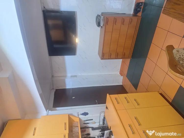 Apartament cu 2 camere decomandat în Turnișor