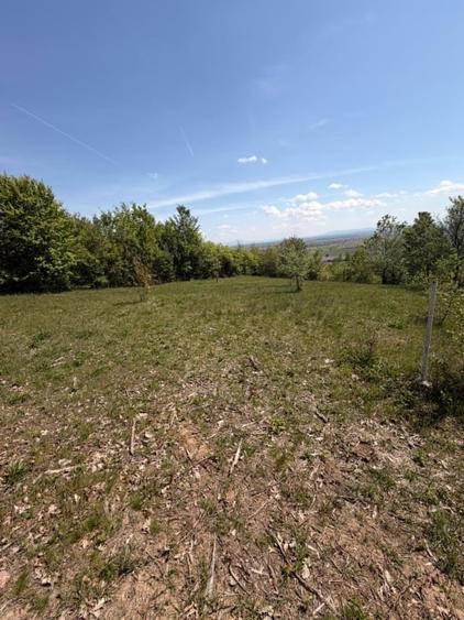 Teren Construcții intravilan de 1400 mp, în Buzești