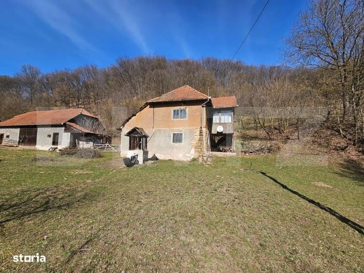 Spațiu comercial, în Almașu Mare