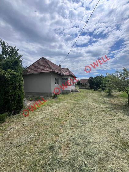 Teren intravilan de vânzare în Brateș! - 4