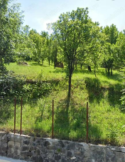 Teren de 1000 mp, în Valea Doftanei