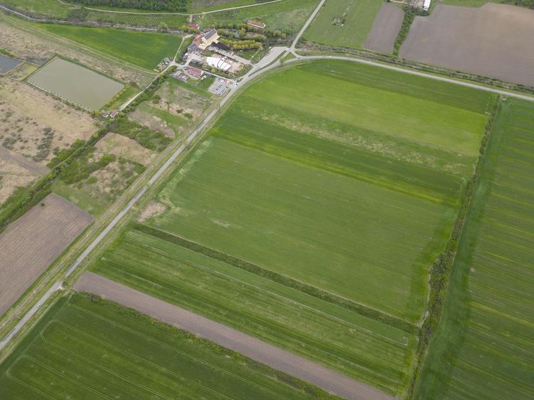 Teren agricol extravilan de 22500 mp, în Sud-Vest