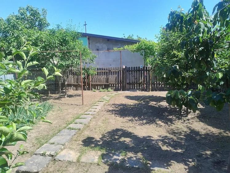 Casă cu Teren 390 Mp în Central