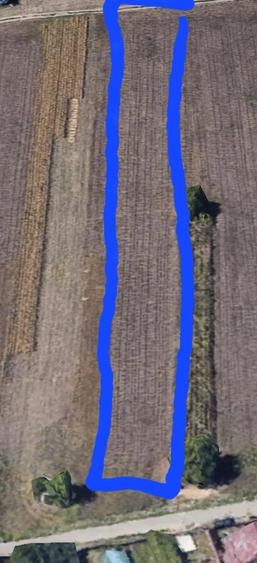 Teren de 4000 mp, în Belciugatele