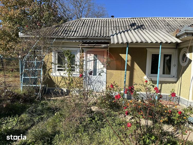 Casă cu 3 camere cu Teren 1045 Mp în Borlești