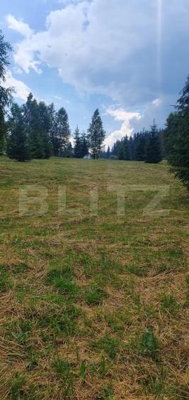 Teren Construcții intravilan de 3268 mp, în Vatra Dornei