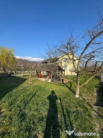 Casă cu 4 camere cu Teren 1400 Mp în Tăuții de Sus