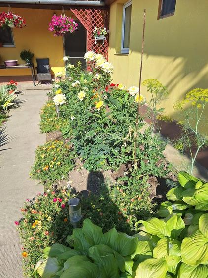 Casă cu Teren 720 Mp în Bobda