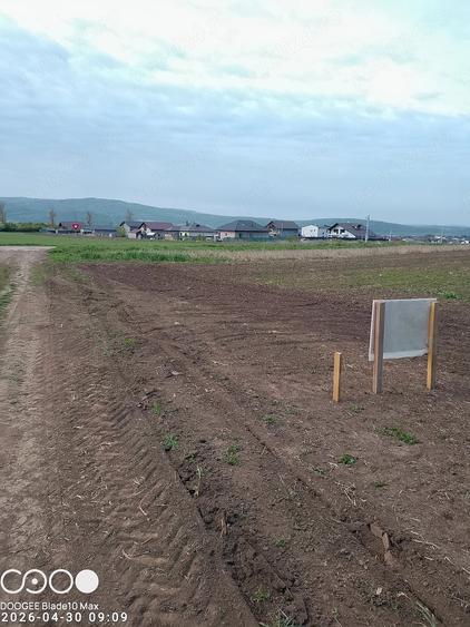 Teren de 5000 mp, în Dancu