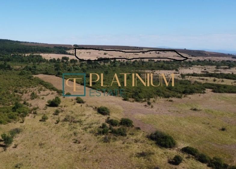 Teren agricol extravilan de 64700 mp, în Ghizela