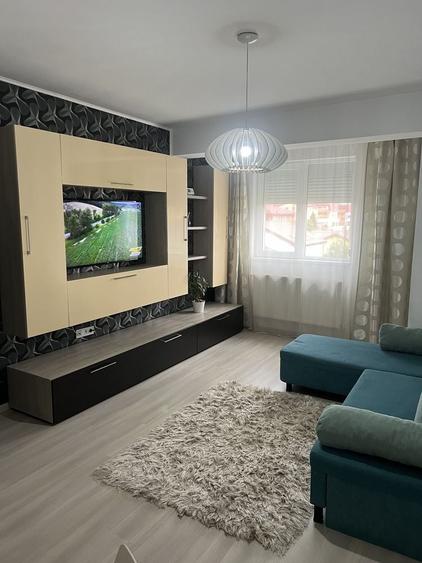 Proprietar/Apartament 2 camere/ Str. Biruintei - 3