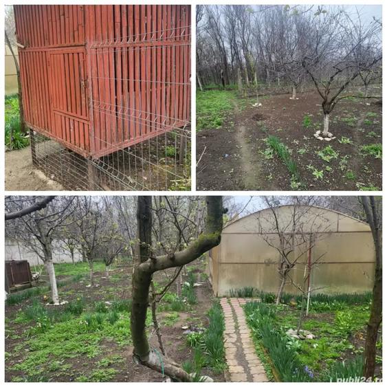 Casă cu 6 camere cu Teren 900 Mp în Roșiori de Vede