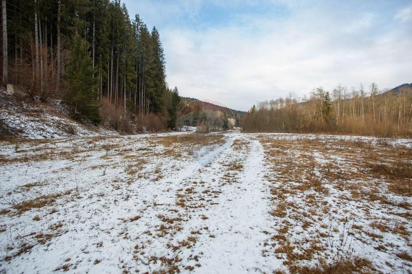 Teren intravilan de 49000 mp, în Borca