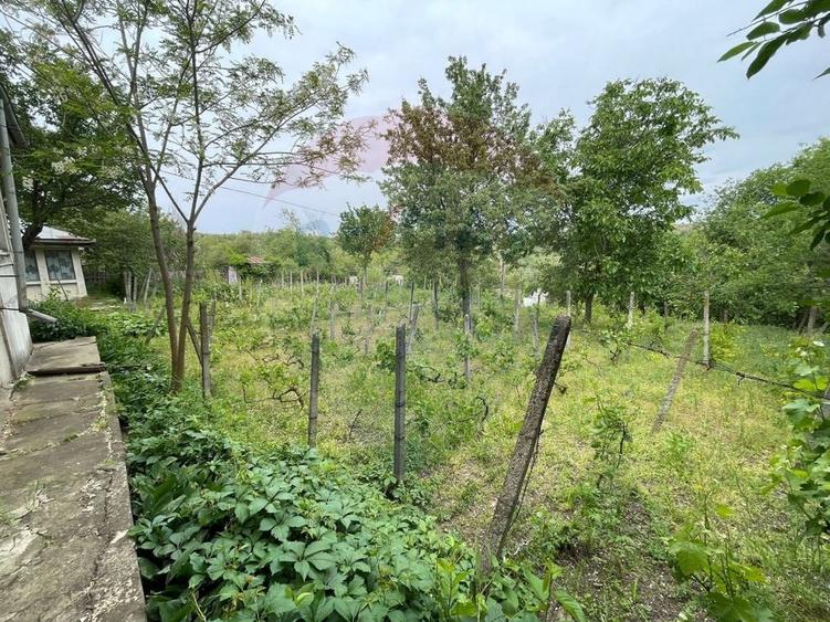 Casă individuală cu 3 camere cu Teren 1692 Mp în Oancea