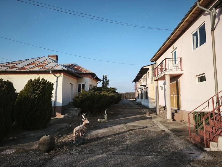 Casă cu 15 camere cu Teren 6500 Mp în Sutești