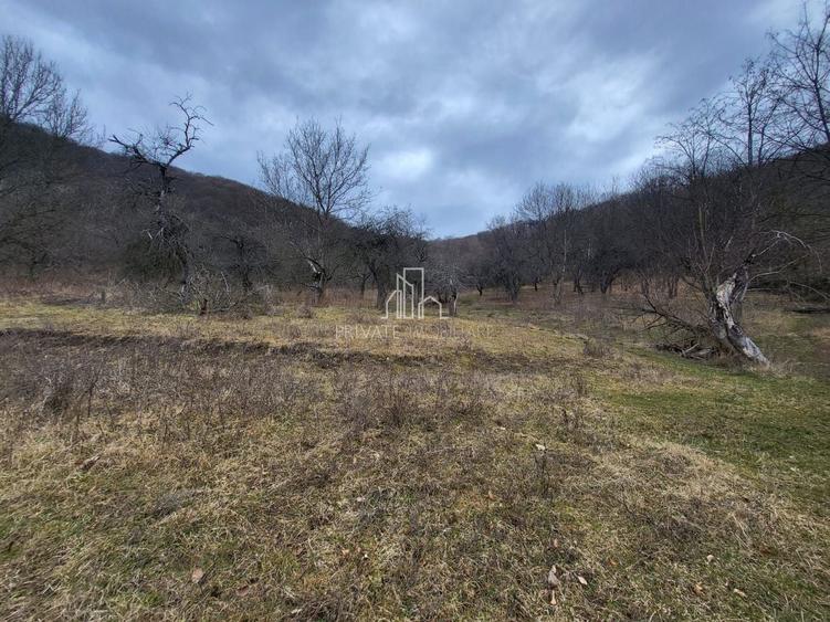 Teren intravilan de 10000 mp, în Periferie
