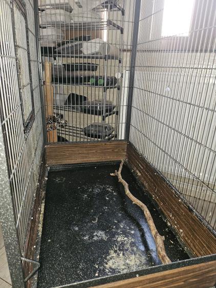 Apartament în Central