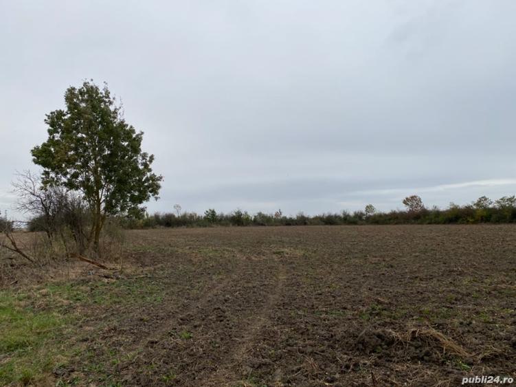 Teren de 4990 mp, în Duboz