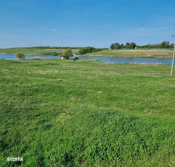 Teren de 4800 mp, în Tămădău Mare