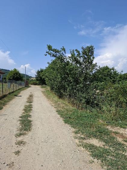 Teren Construcții intravilan de 800 mp, în Vâlcele