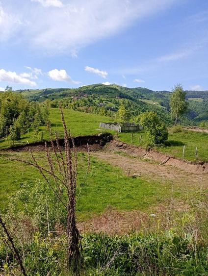 Teren de 2000 mp, în Central