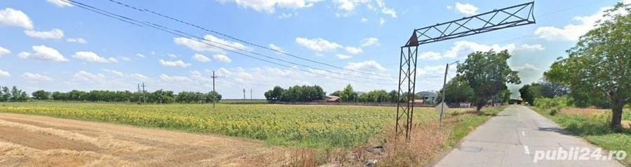 Teren de 5000 mp, în Cotorca