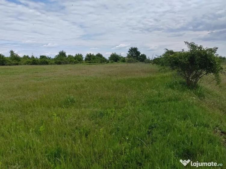 Teren în Ariceștii Rahtivani