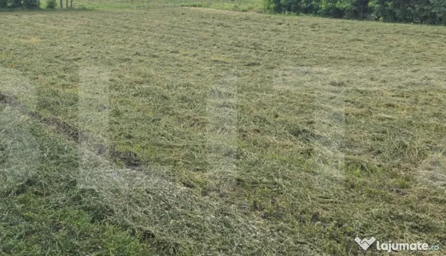 Teren în Stăuceni