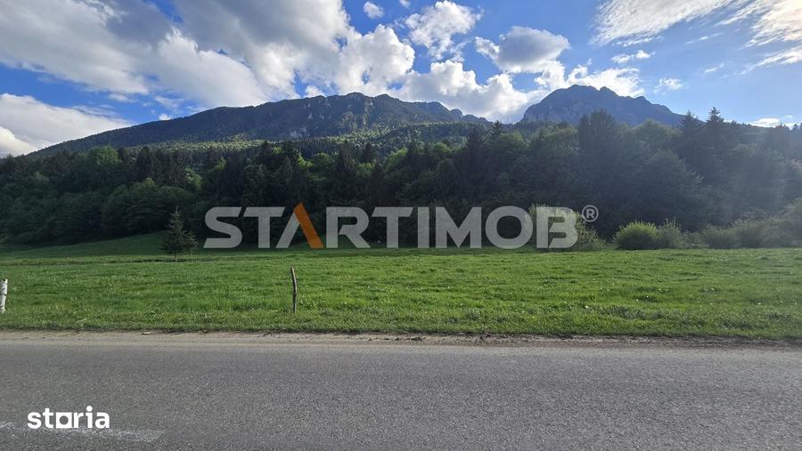 Teren de 7600 mp, în Plaiul Foii