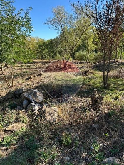 Teren Construcții intravilan de 1000 mp, în Călățele