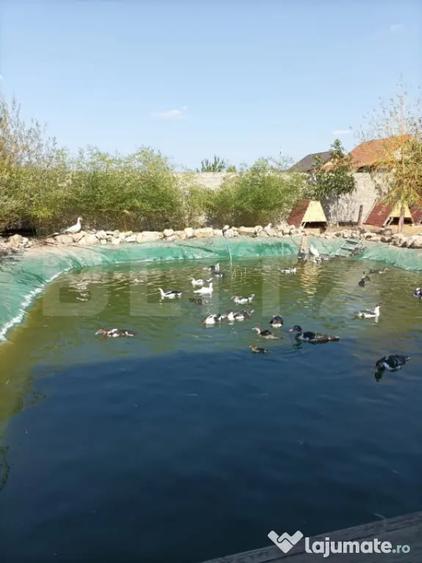 Casă cu 8 camere cu Teren 28000 Mp în Baba Ana