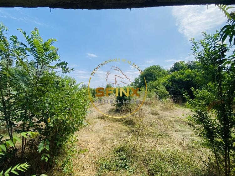 Teren Construcții intravilan de 1500 mp, în Lipia