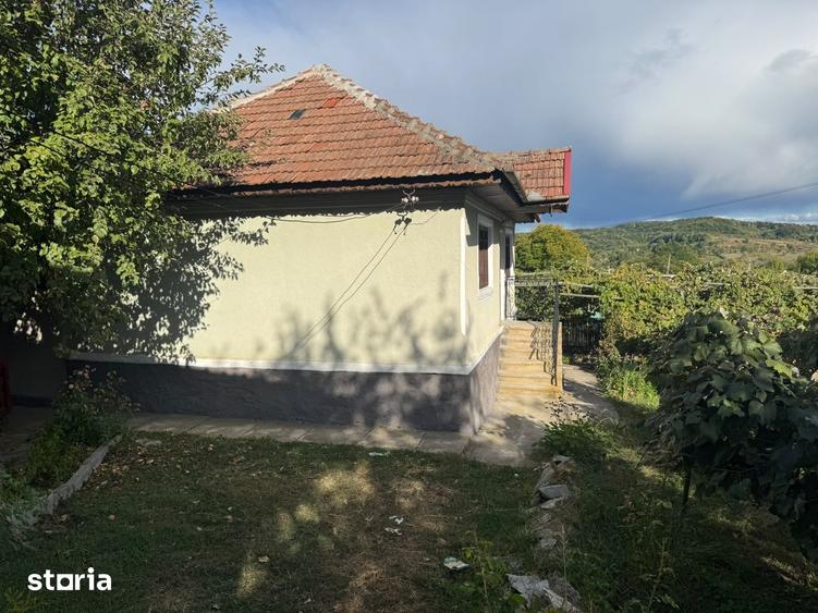 Casă cu 5 camere cu Teren 11000 Mp în Alimpești