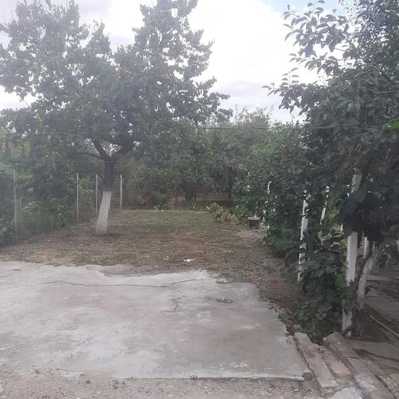 Casă cu 4 camere cu Teren 360 Mp în Micălaca