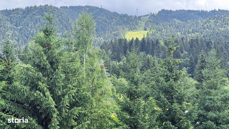 Garsonieră în Poiana Brașov