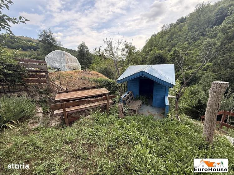 Cabana + Teren De Vanzare La 14Km De Alba - 9