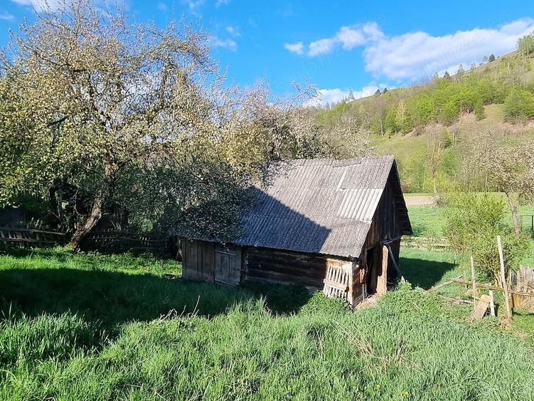 Casă cu Teren 577 Mp în Mușca