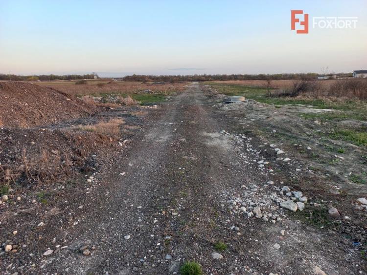 Teren Construcții extravilan de 4464 mp, în Ghiroda