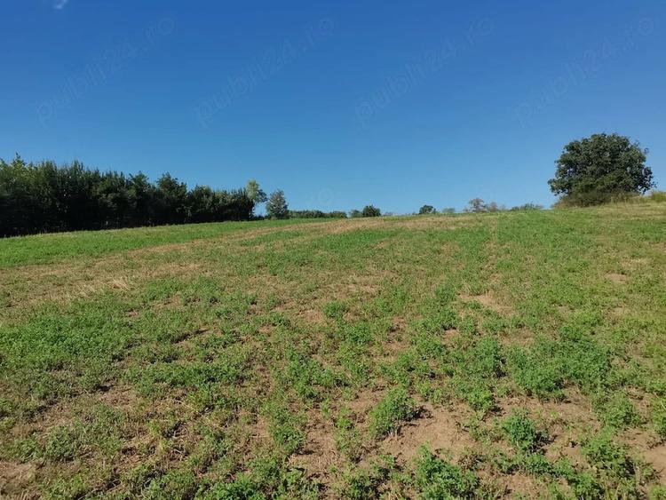 Teren de 500 mp, în Lunca Cetățuii