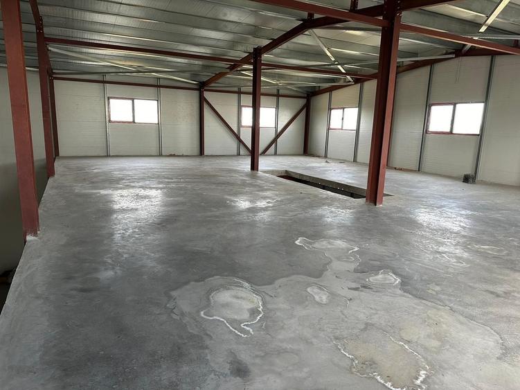 Zona Drumul Intre Tarlale - hala 1400 mp  si birouri 300 mp - 4